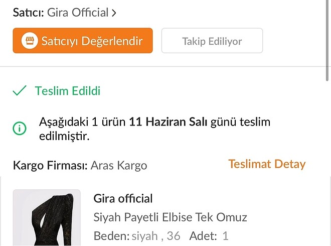 Taşlı elbise - Görsel 6