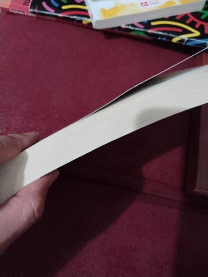 Kuramdan Uygulamaya Kapsayıcı Eğitim Kitabı - Görsel 2