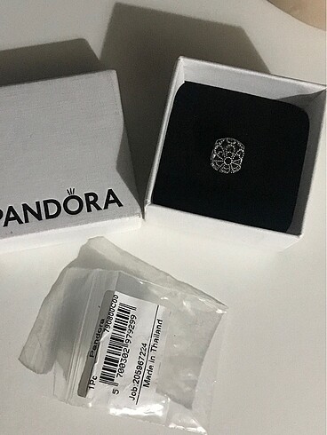 Pandora charm