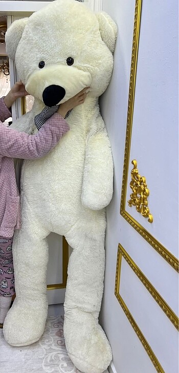 Beden Renk Büyük ayı