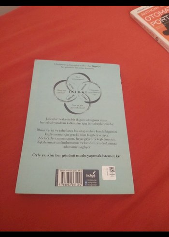  Beden Renk Ikigai - Japonların Uzun ve Mutlu Yaşam Sırrı
