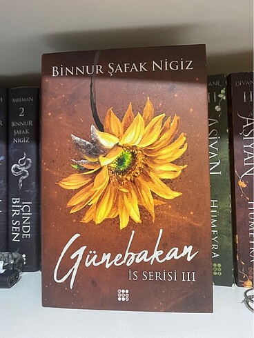 Binnur Şafak Nigiz Günebakan İs Serisi