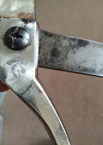 Diğer eski dönem, Avrupa terzi makası