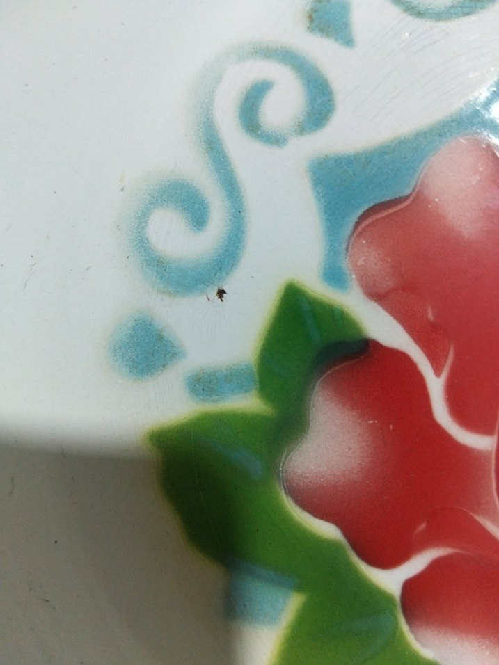 Eski, damgalı emaye tabak - Görsel 4