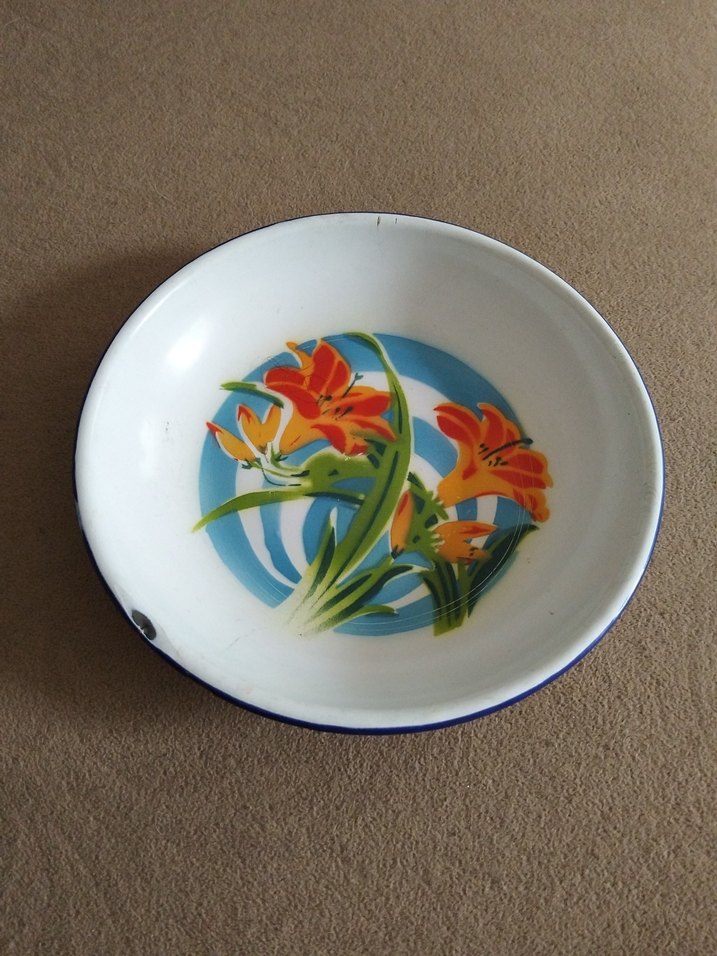 Mavi Çiçek Desenli Retro Tabak - Görsel 2