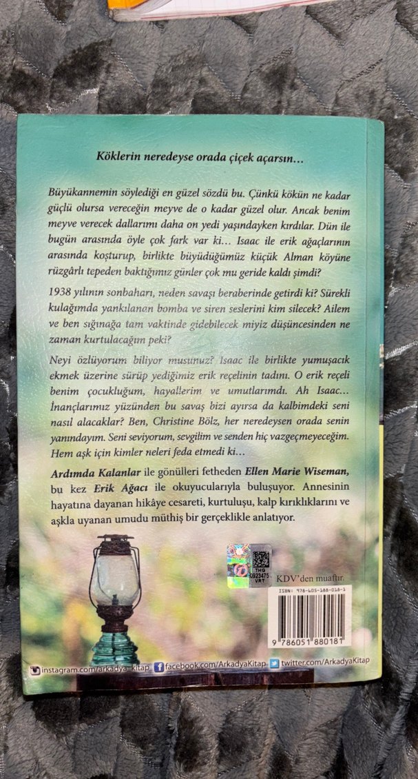 Erik Ağacı - Ellen Marie Wiseman - Görsel 2