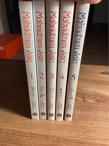  Mobuko nun aski manga