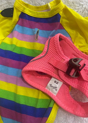 Köpek Tişört ve Göğüs Tasması - Görsel 2