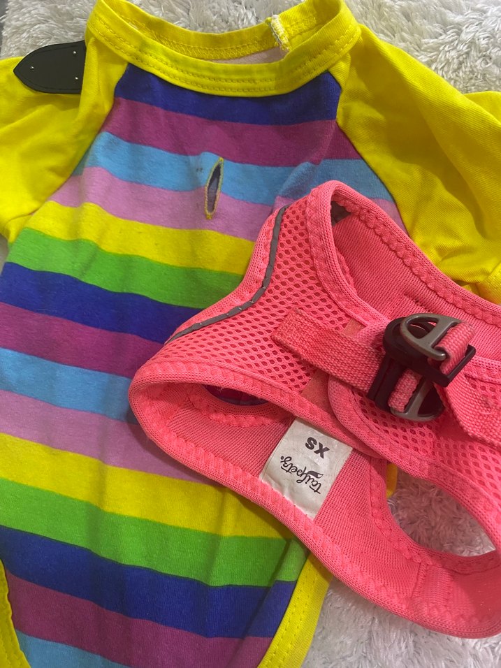 Köpek Tişört ve Göğüs Tasması - Görsel 2