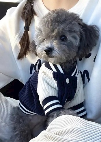 Köpek Kolej Ceketi - Görsel 4