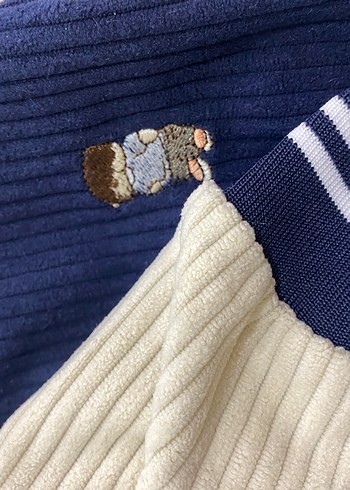 Köpek Kolej Ceketi - Görsel 2