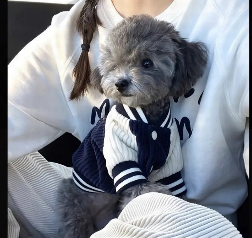 Köpek Kolej Ceketi - Görsel 4