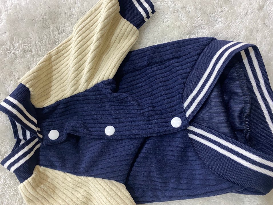 Köpek Kolej Ceketi - Görsel 3