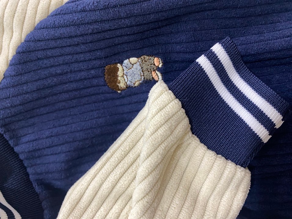 Köpek Kolej Ceketi - Görsel 2