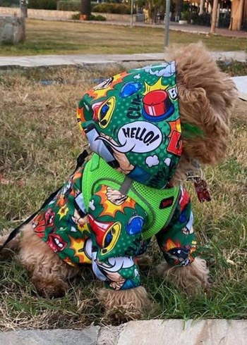 Köpek Yağmurluk - Görsel 2