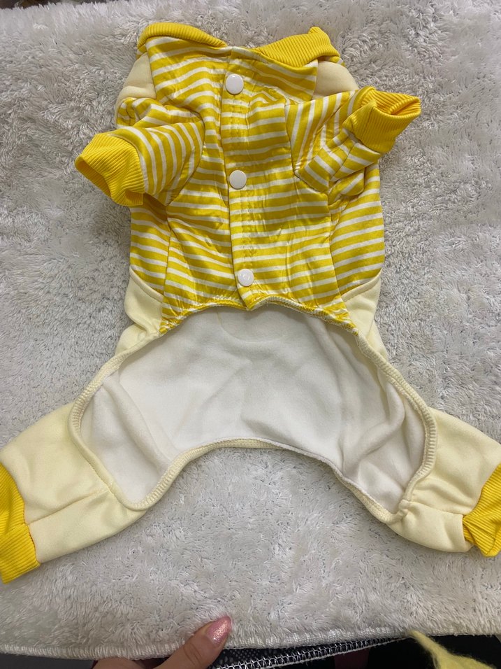 Köpek Tulumu - Görsel 2