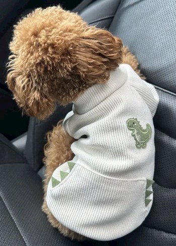 Köpek Kıyafeti Küçük Irk - Görsel 2