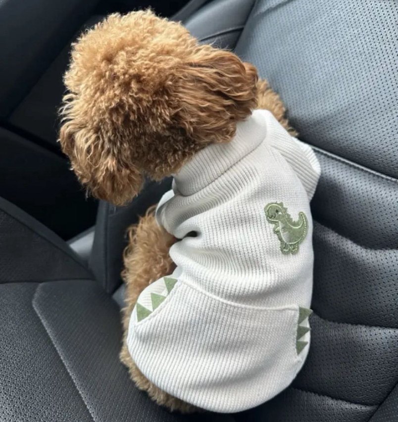 Köpek Kıyafeti Küçük Irk - Görsel 2