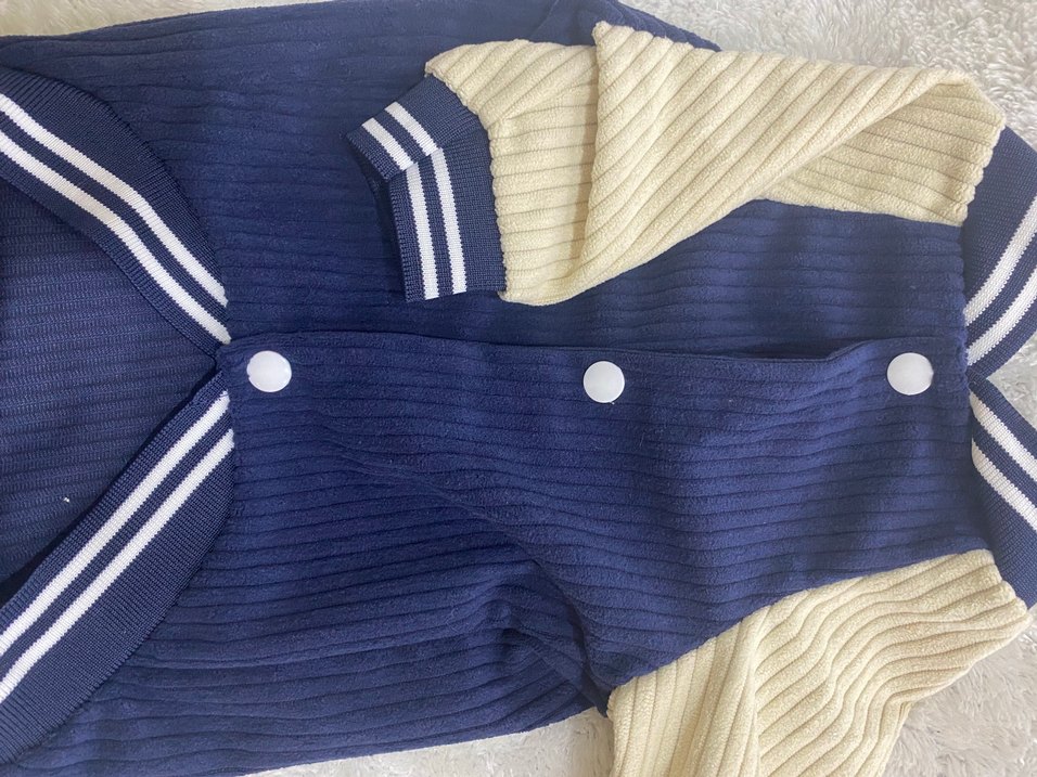 Düğmeli Koyu Mavi Sokak Stili Köpek Kıyafeti - Görsel 2