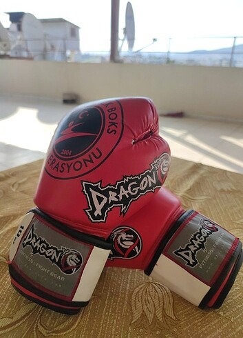 DRAGON BOKS ELDİVENİ