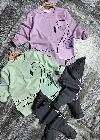 5 Yaş Beden Flamingo Desenli Taytlı Takım