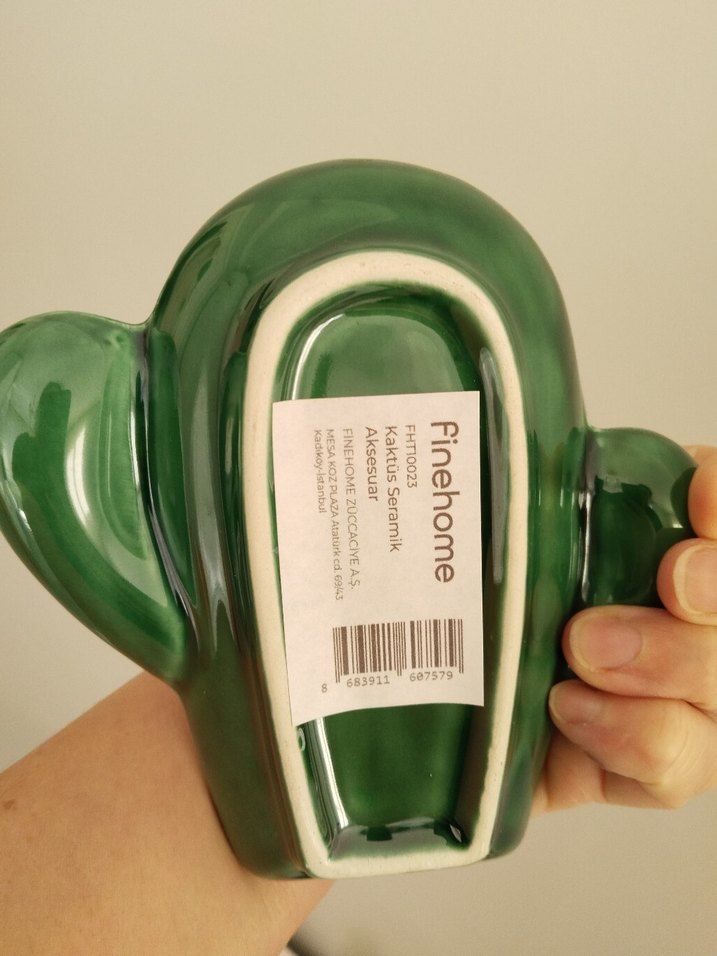 kaktüs seramik dekor - Görsel 2