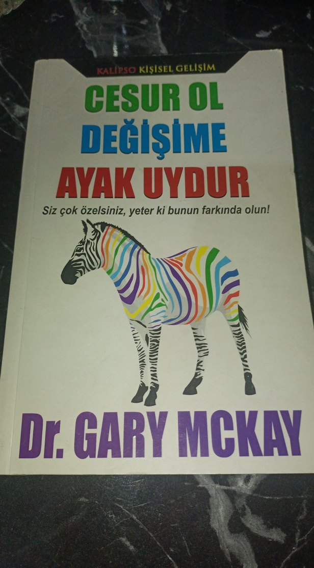 Cesur Ol Değişime Ayak Uydur - Dr. Gary McKay - Görsel 2