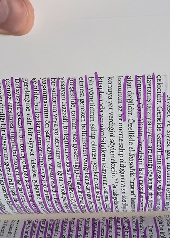  Beden Renk İslam Felsefesi Tarih ve Problemler Kitabı