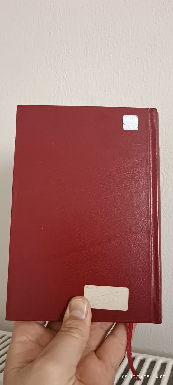 Hanımlar Rehberi - Bediüzzaman Said Nursi - Görsel 2