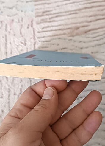 Tek Kelimelik Sözlük Ali Ural - Görsel 2