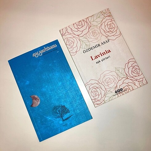 Lavinia ve Ay Yaktusu Şiir Kitabı - Görsel 2