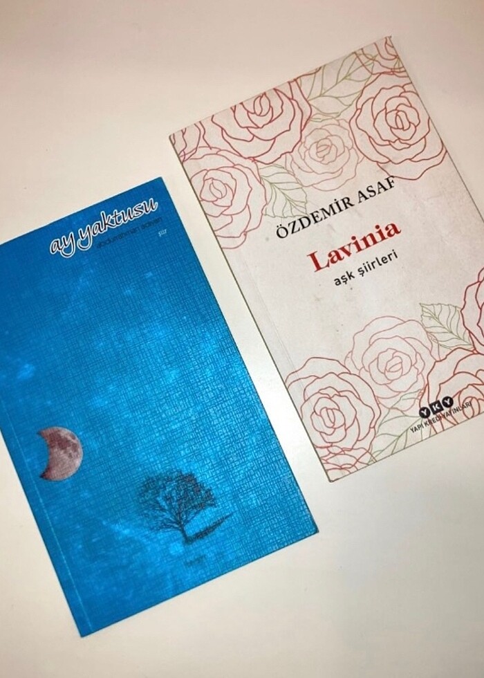 Lavinia ve Ay Yaktusu Şiir Kitabı - Görsel 2
