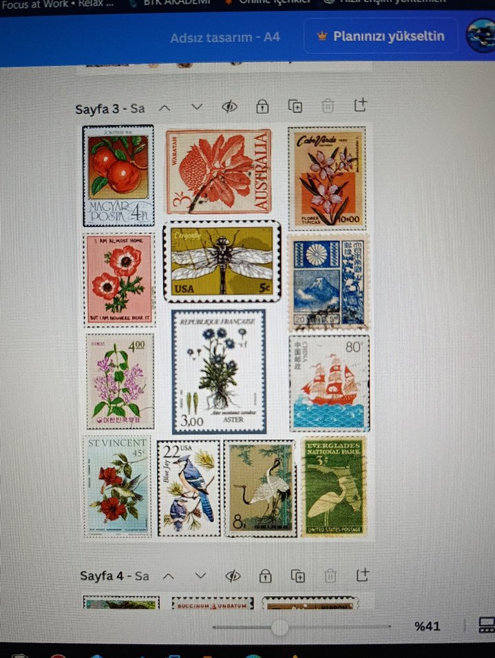 8 adet sticker seti parlak - Görsel 3