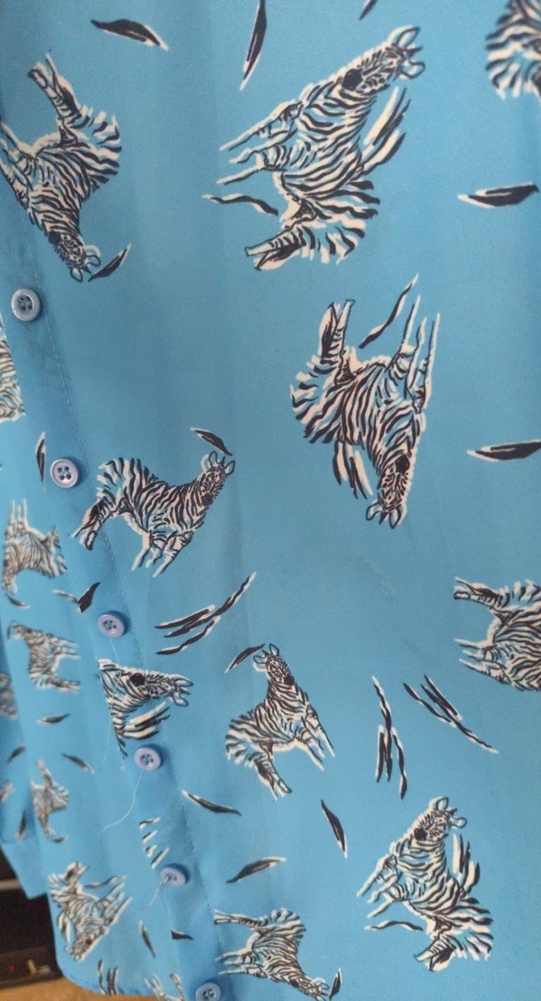 Mavi Desenli Uzun Kollu Kadın Gömlek - Görsel 4