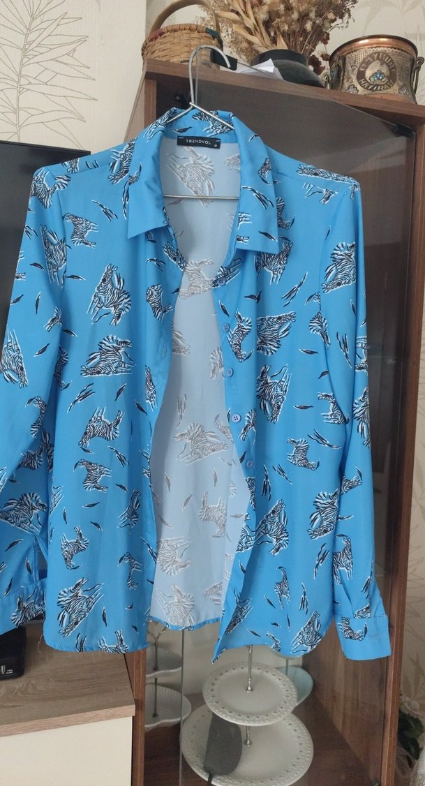 Mavi Desenli Uzun Kollu Kadın Gömlek - Görsel 2