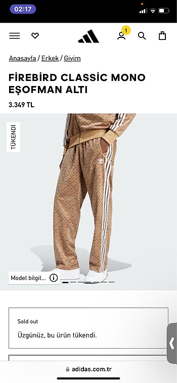 Adidas eşofman takımı