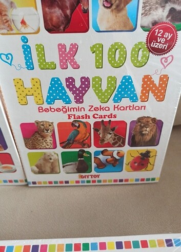 Diytoy ilk 100 sözcük ilk 100 hayvan kartları