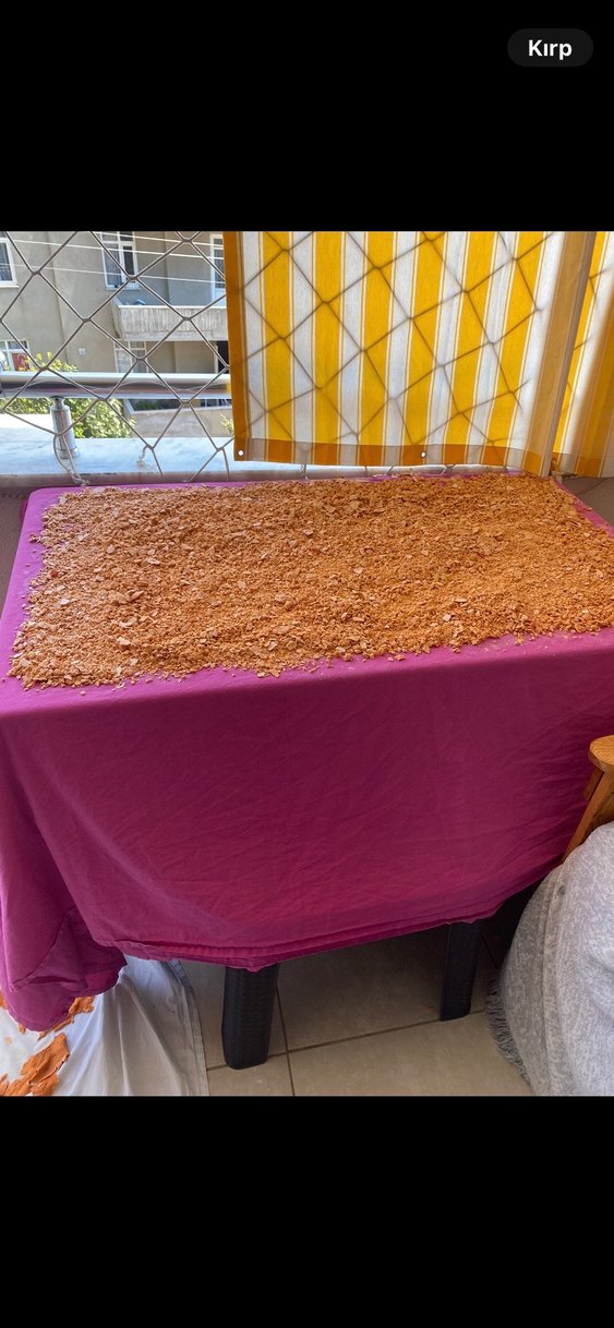 Altın Renkli Parlak Allık - Görsel 2