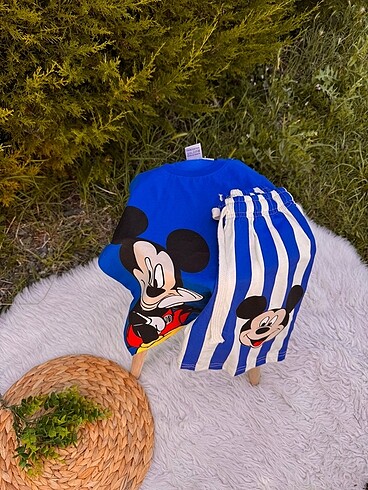 Diğer Mickey Mouse etiketli takım