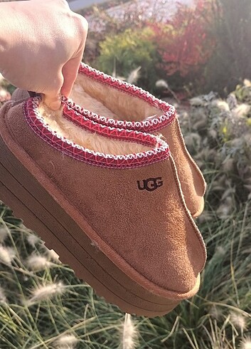 Ugg Tazz slipper terlik taba