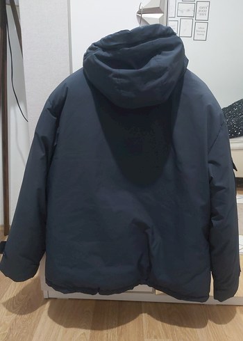 U.S polo erkek mont - Görsel 6