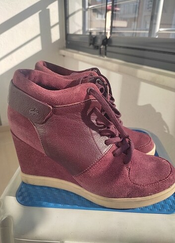 Lacoste 