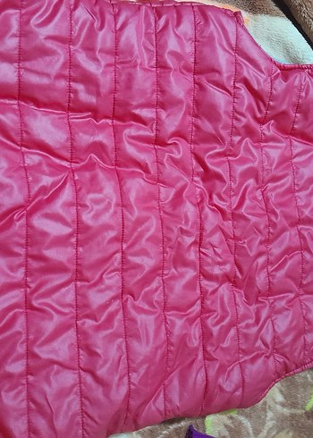 Pembe Kapüşonlu Fermuarlı Kadın Yelek - Görsel 2