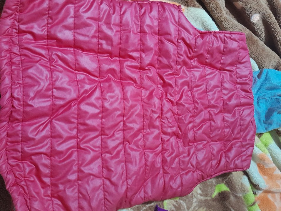 Pembe Kapüşonlu Fermuarlı Kadın Yelek - Görsel 2