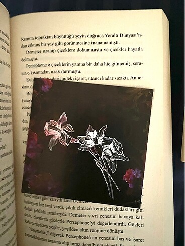 Beden Renk Karanlığın Dokunuşu ve Yıkımın Dokunuşu