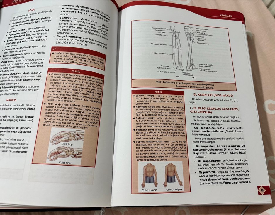Ozan anatomi 3.baskı - Görsel 3