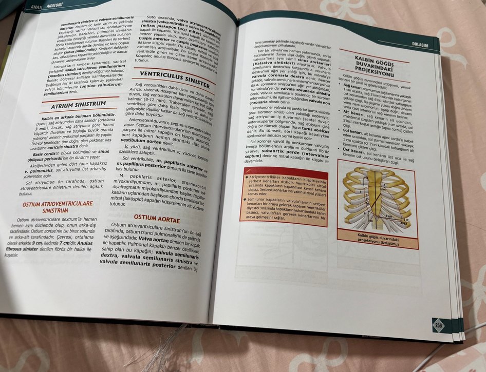 Ozan anatomi 3.baskı - Görsel 2