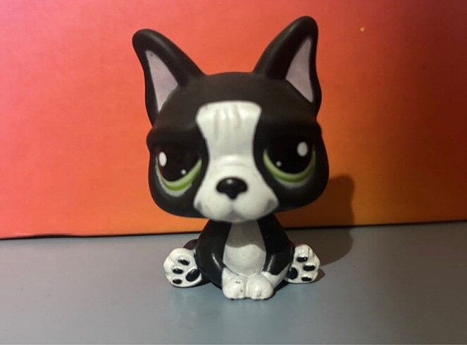 French Bulldog