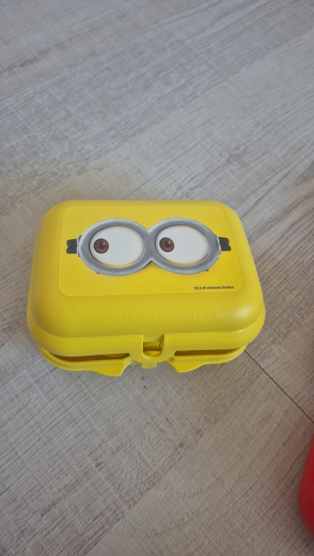 Minyon Figürlü Sarı Beslenme Kutuları - Görsel 4