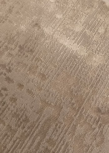 Çağdaş Bej Gri Halı - Görsel 3